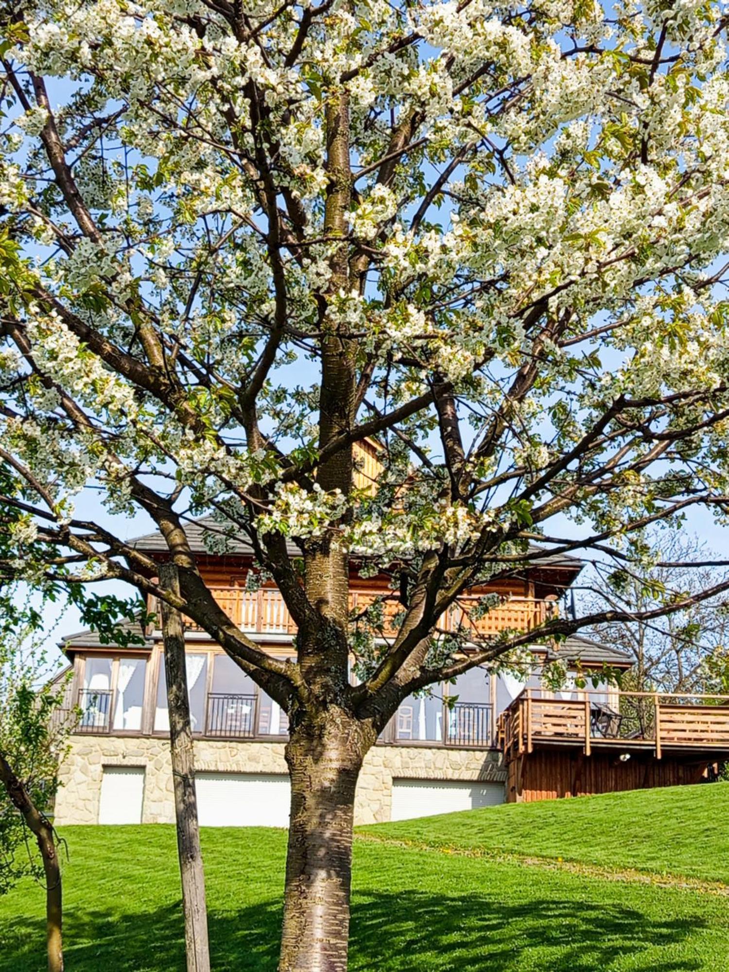 Dom Na Rozcesciu Koniaków Exterior foto